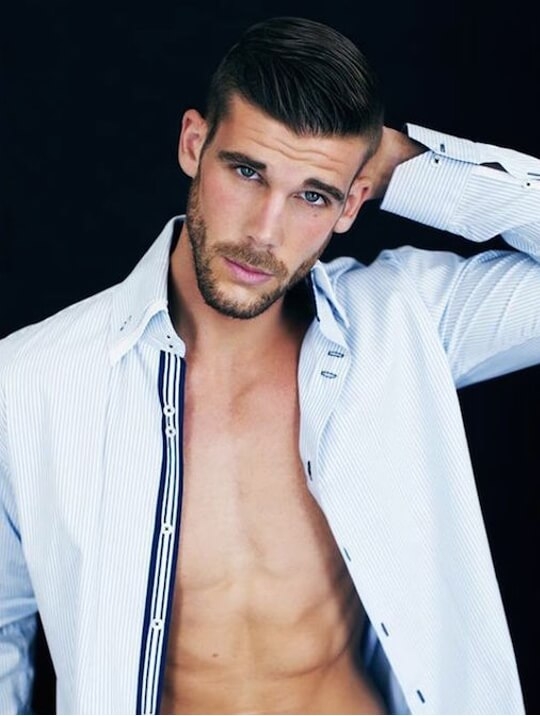 ice model mgmt