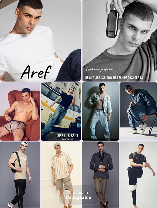 Aref Omidfar_18