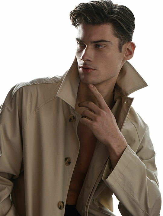 Vincent V_7